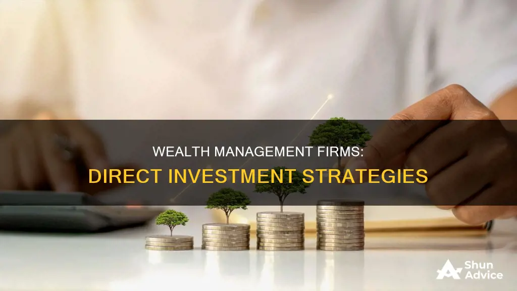 do wealth management firms make direct investments