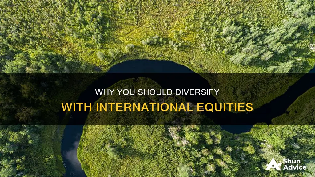 do you have to invest in international equities