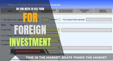 FBAR Filing: Navigating Foreign Investment Compliance