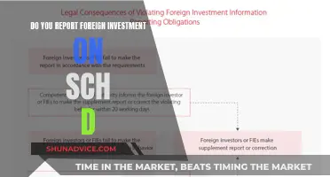 Foreign Investment Reporting: Navigating SCH D Requirements