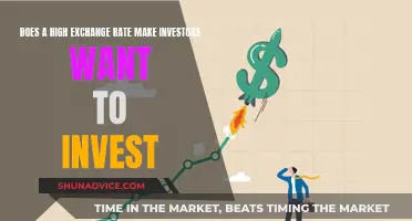 Exchange Rate Impact on Investor Confidence and Decisions