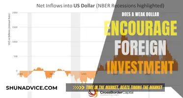 Weak Dollar: A Magnet for Foreign Investment or a Deterrent?