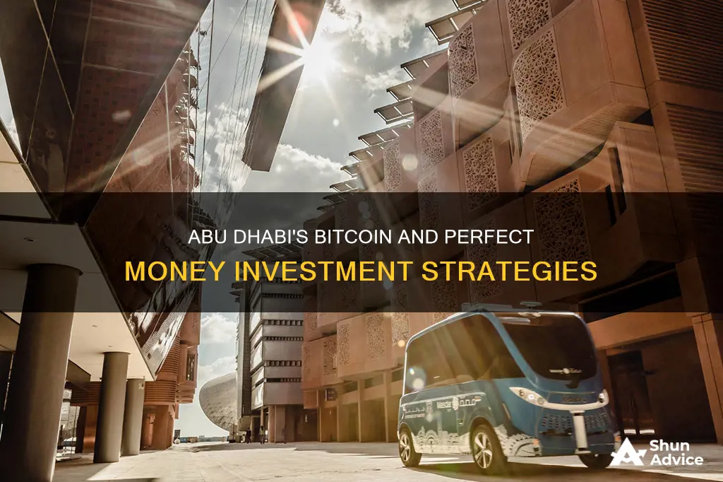 does abu dhabi invest perfect money hyip bitcoin investment licenced