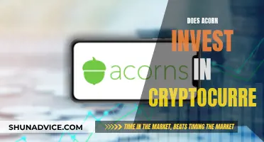 Acorn's Crypto Investment Strategy: Pros and Cons