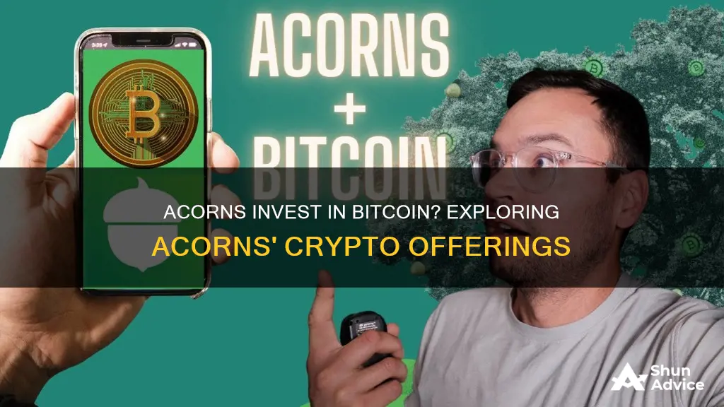 does acorns invest in bitcoin