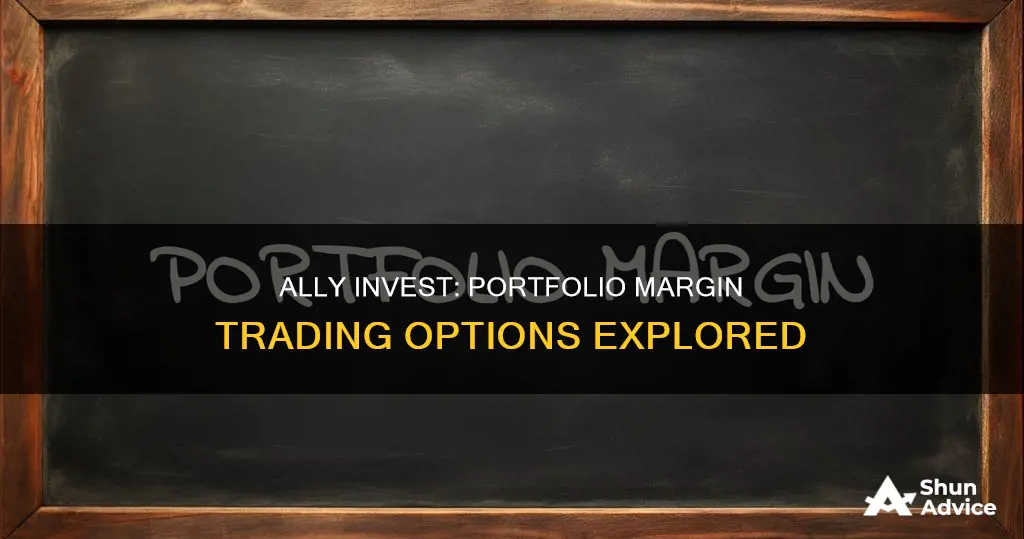 does ally invest offer portfolio margin