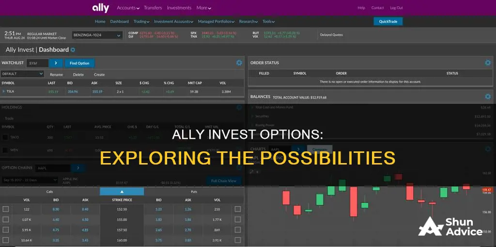 does ally invest work with options