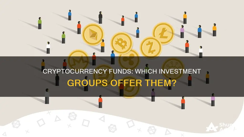 does any investment group offer a cryptocurrency fund