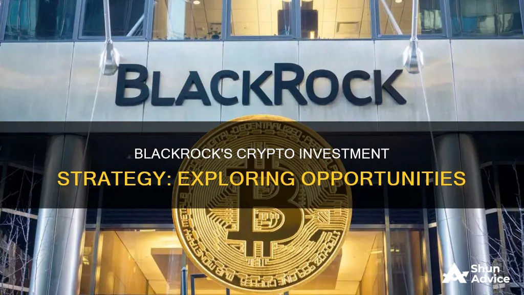 does blackrock invest in crypto