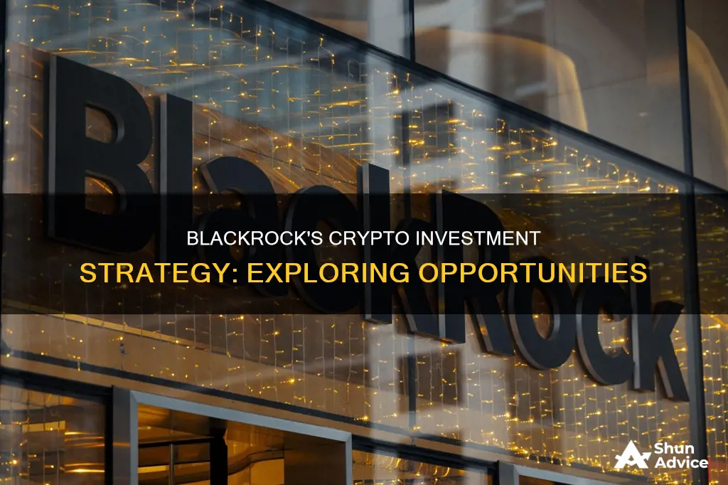 does blackrock invest in cryptocurrency