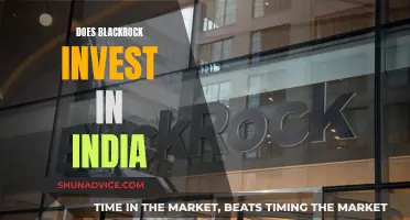 BlackRock's Investment Strategies: Exploring India's Potential