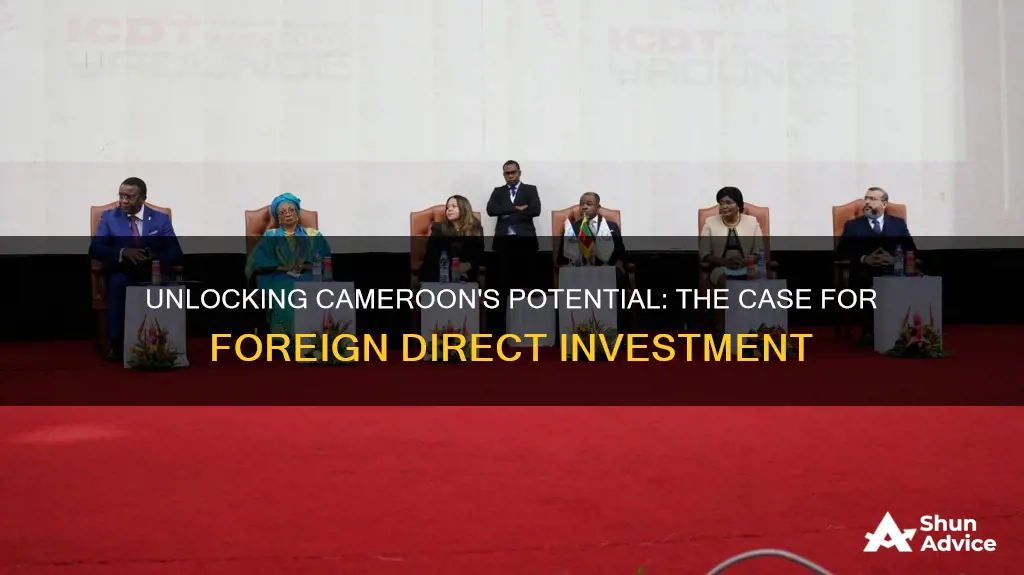 does cameroon need foreign direct investment