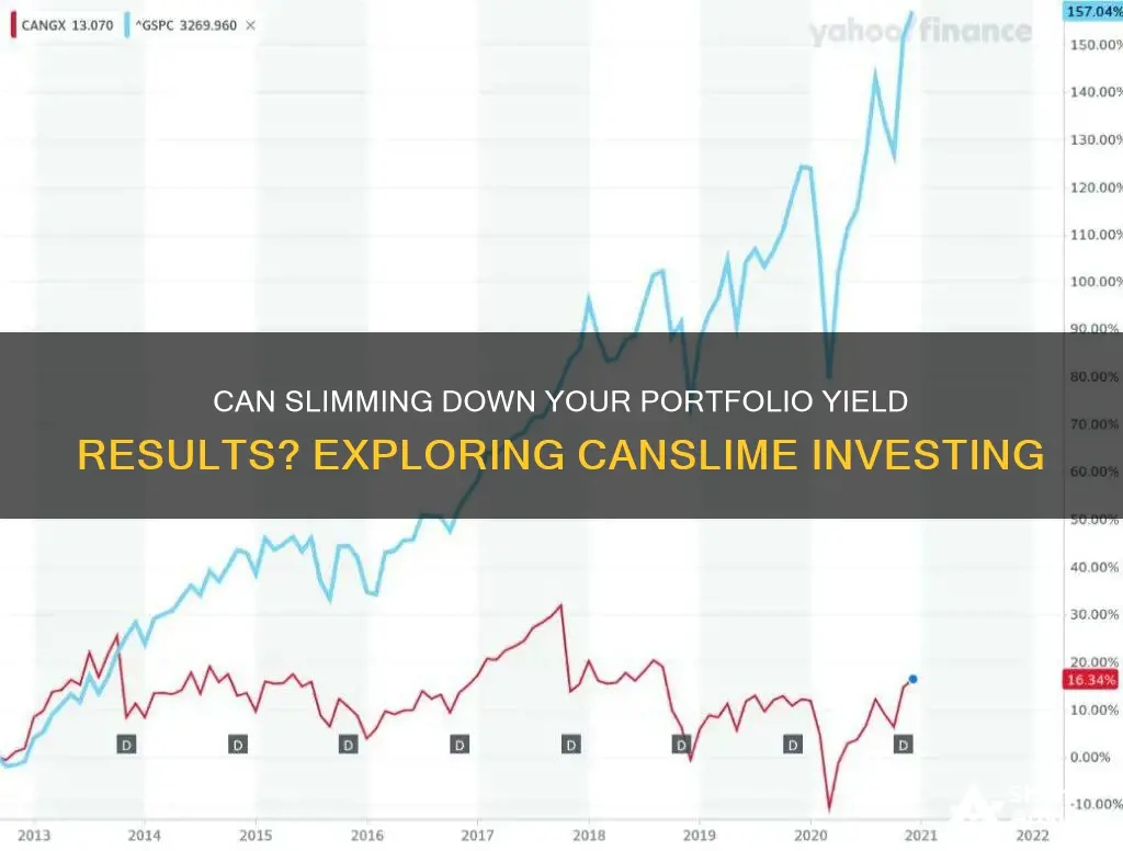 does canslim investing work