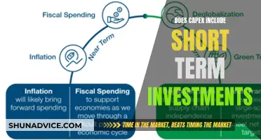 Understanding CAPEX: Short-Term Investments and Their Role