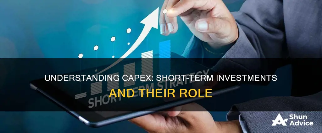 does capex include short term investments