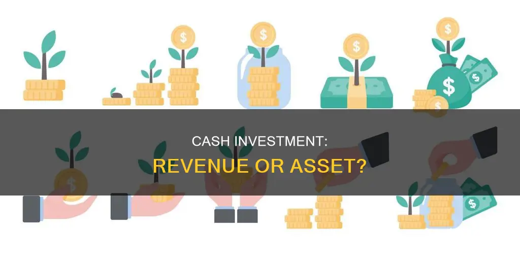 does cash investment count as revenue