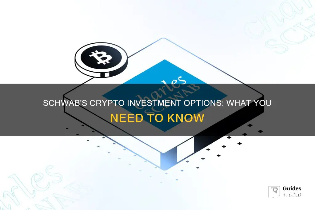 does charles schwab invest in cryptocurrency