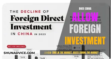 Unlocking China's Investment Potential: A Guide for Foreign Investors