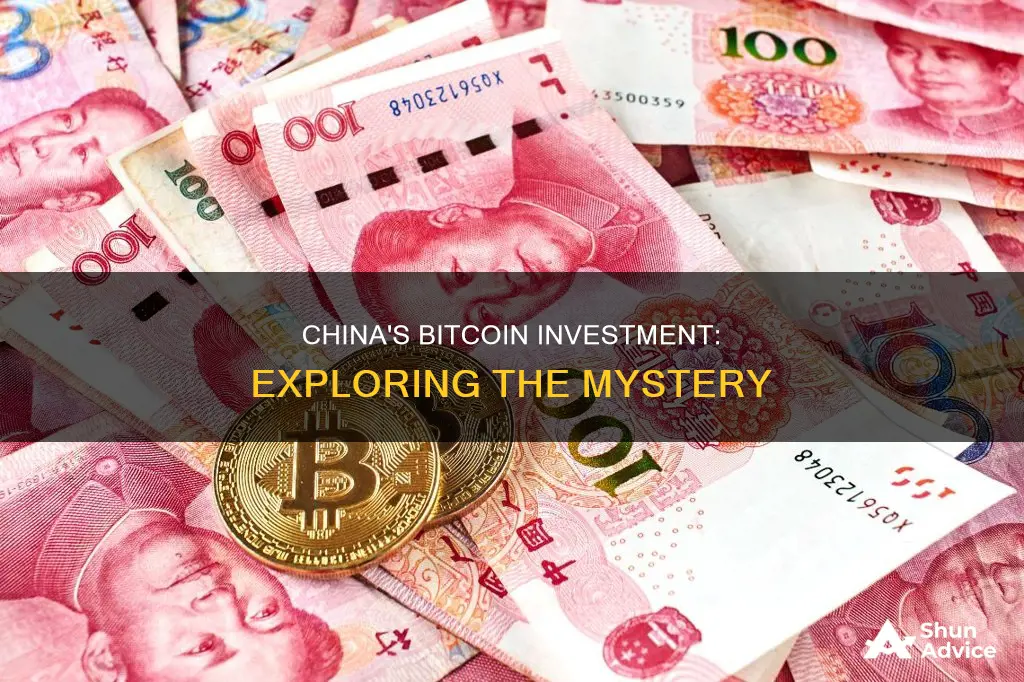 does china invest in bitcoin