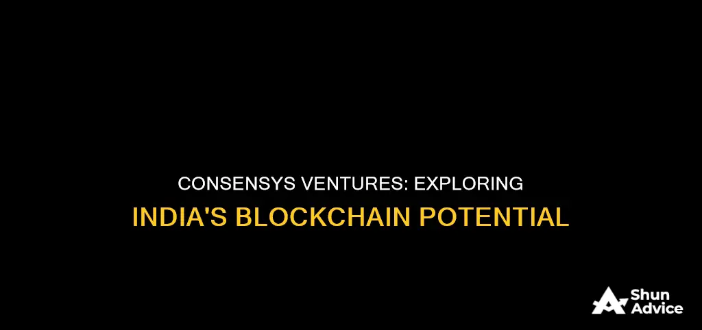 does consensys ventures invest in india