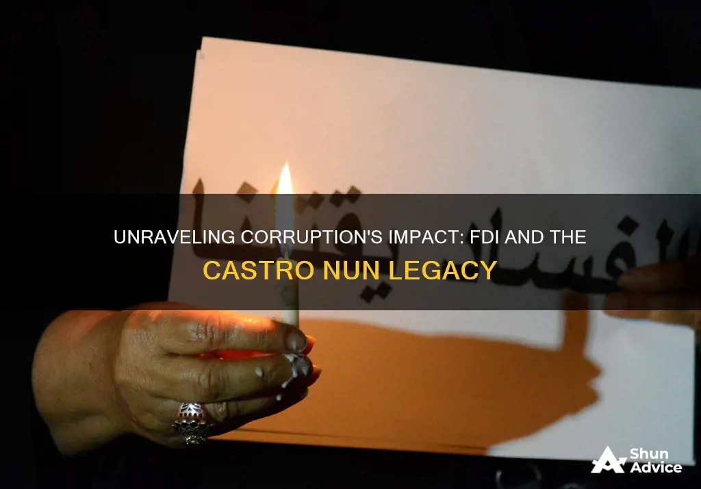 does corruption inhibit foreign direct investment castro nuns