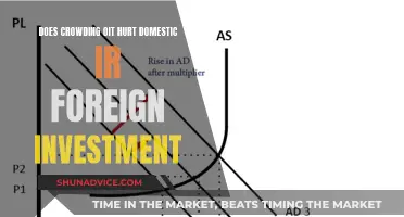 Crowding Out: Domestic vs. Foreign Investment