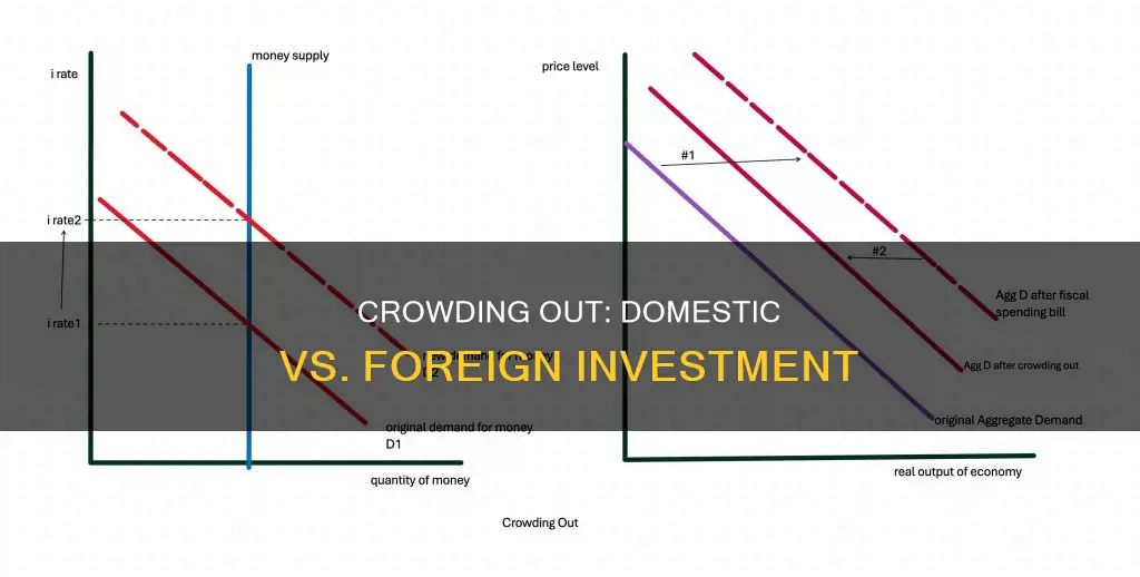 does crowding oit hurt domestic ir foreign investment