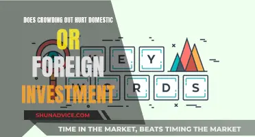 Crowding Out: Domestic vs. Foreign Investment Trade-Offs