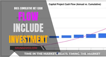 Understanding Net Cash Flow: Does It Include Investments?