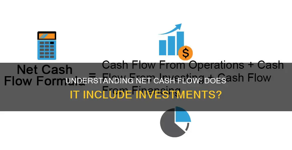 does cumulative net cash flow include investment