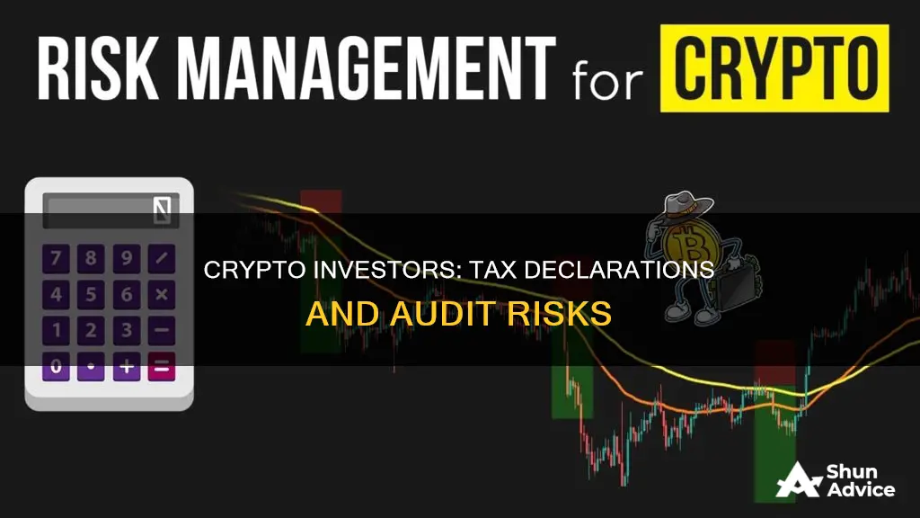 does declaring crypto investments raise your odds being audited