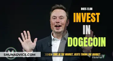 Elon's Dogecoin Investment: A Billionaire's Crypto Gamble