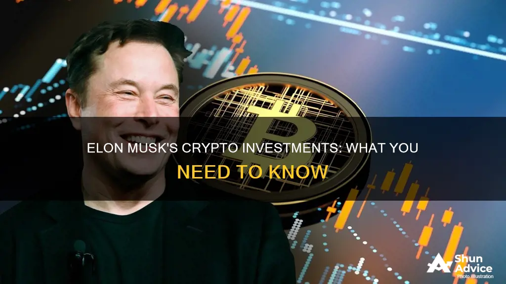 does elon musk invest in crypto