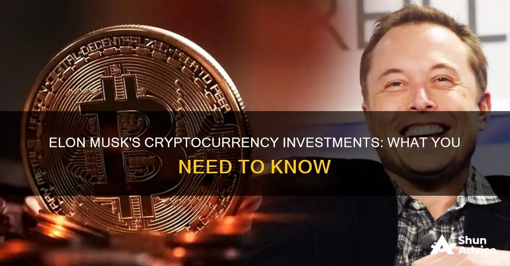 does elon musk invest in cryptocurrency