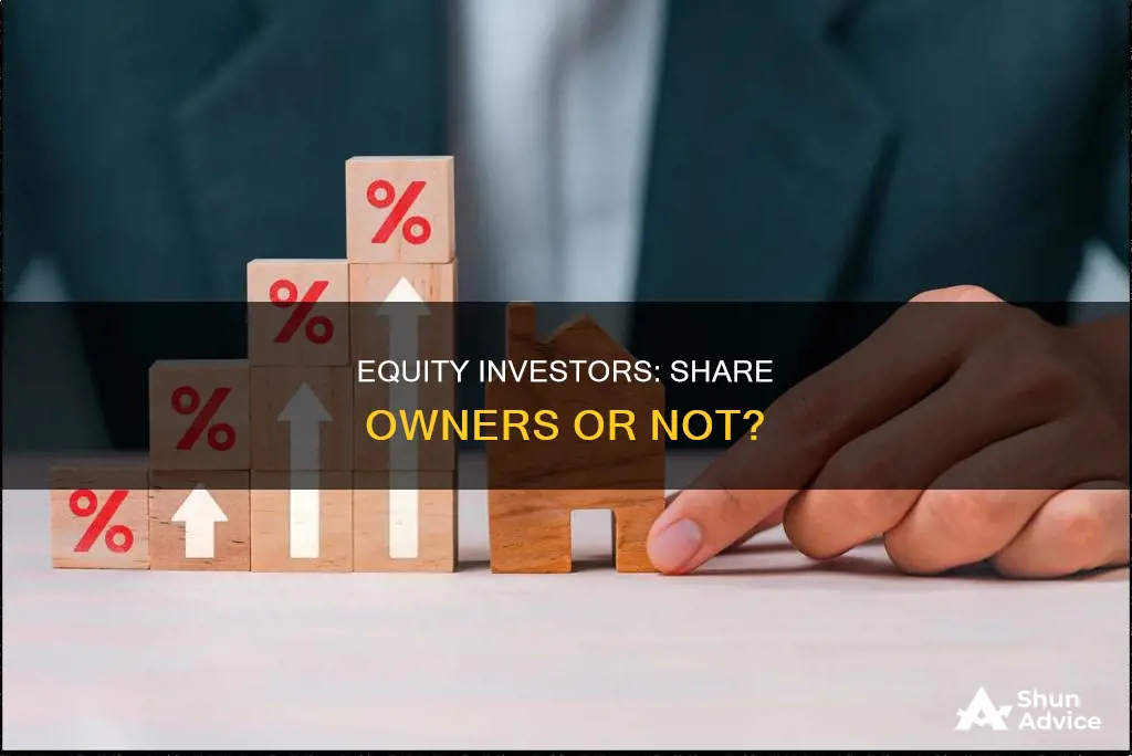 does equity invester own shares