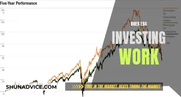 ESG Investing: Unlocking Sustainable Returns or Greenwashing?