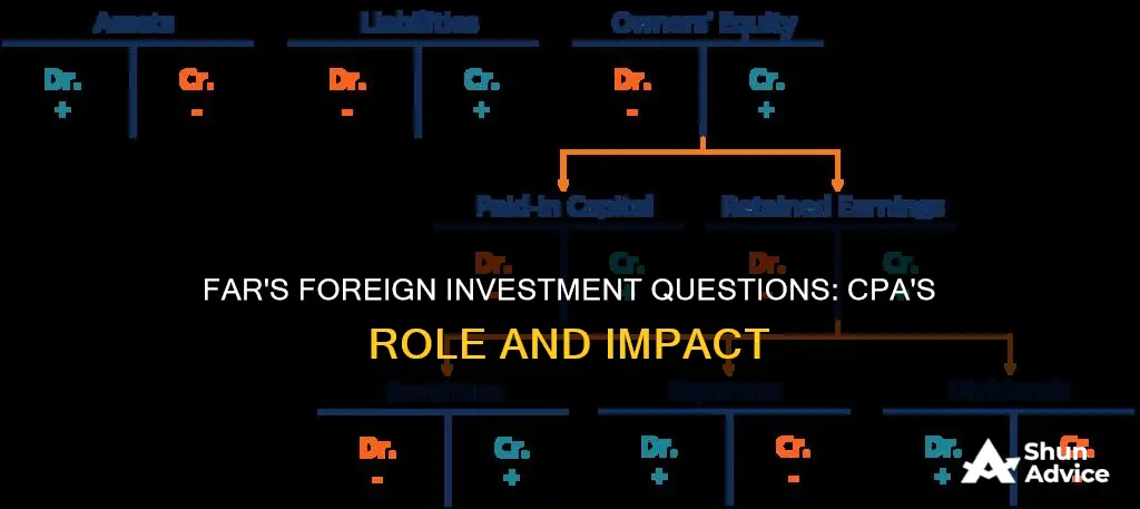 does far ask foreign investment questions on cpa