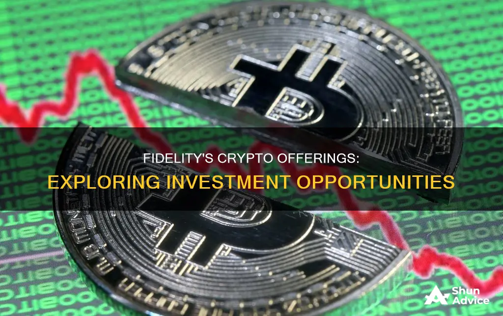 does fidelity allow crypto investments