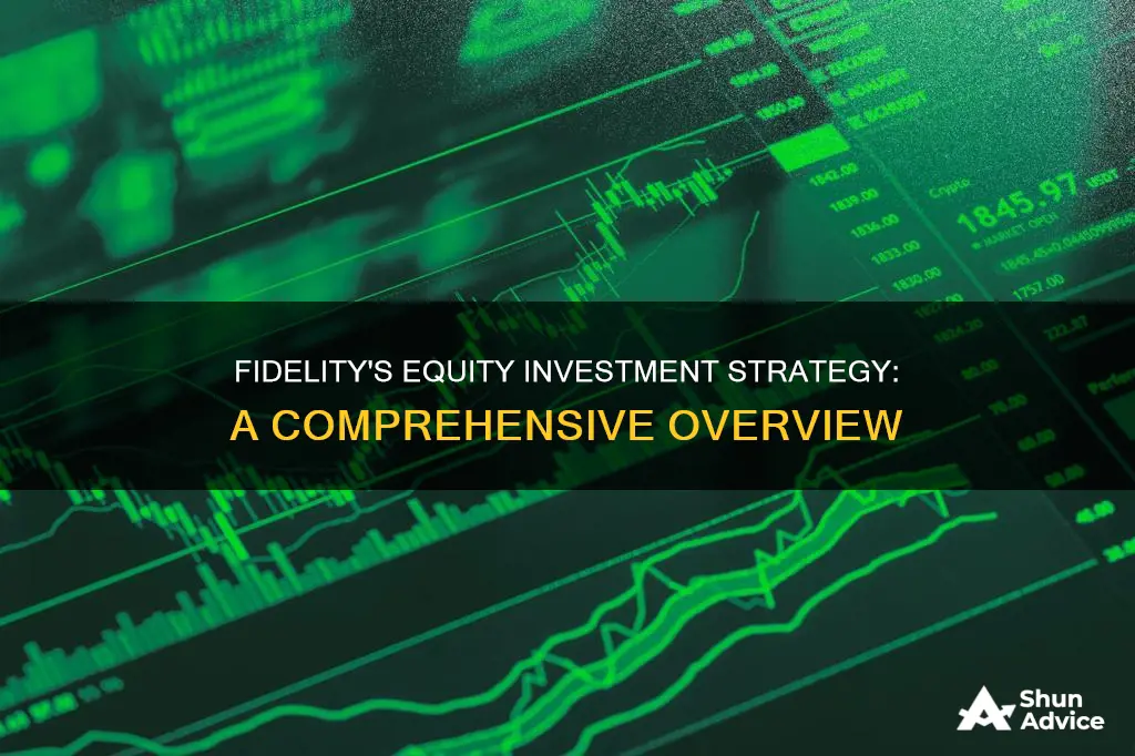 does fidelity have an equity investment strategy