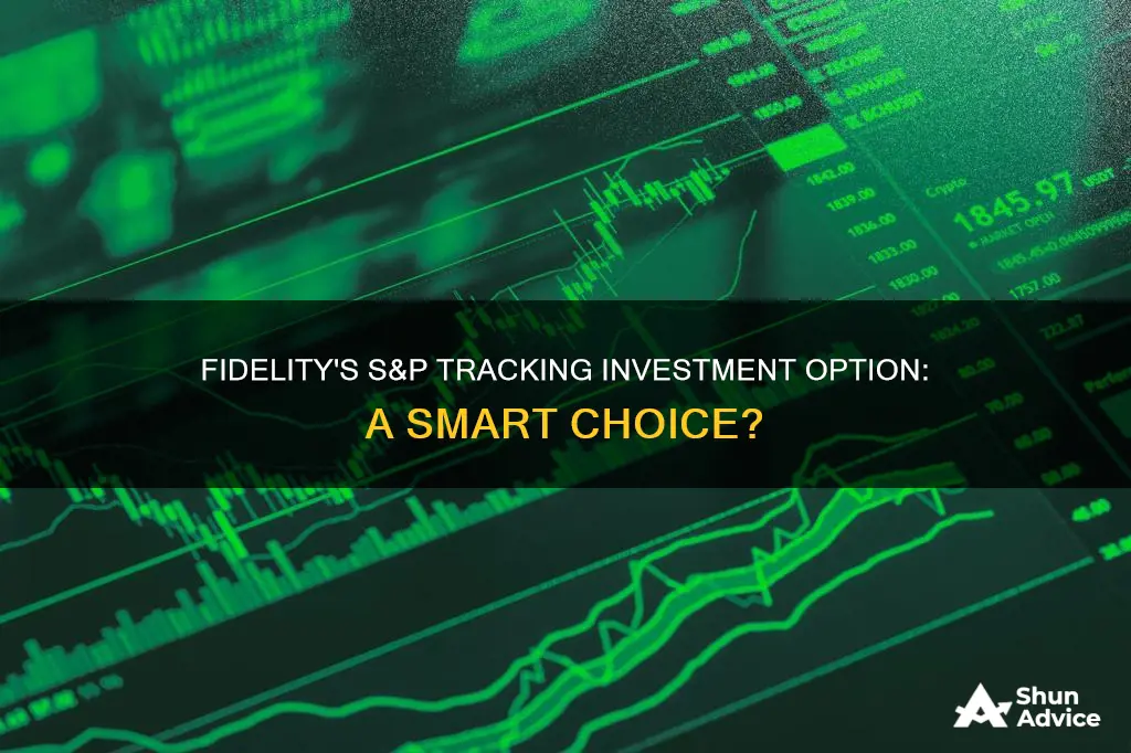 does fidelity have an investment choice that tracks the s&p