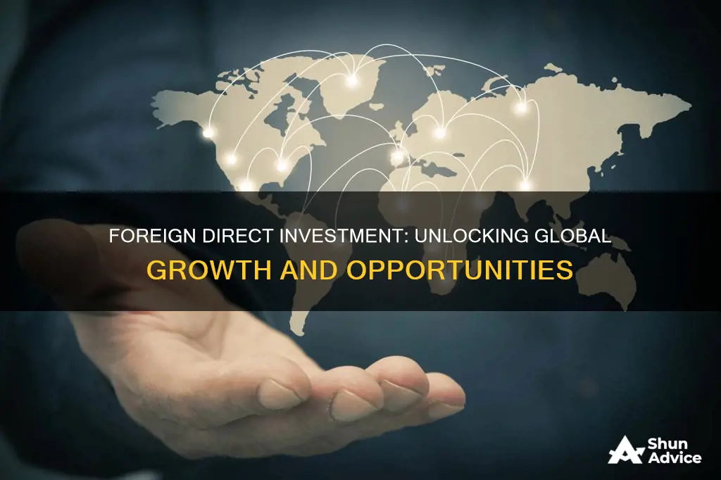 does foreign direct invest