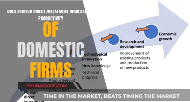 FDI's Impact: Unlocking Domestic Firm Productivity through Global Investment