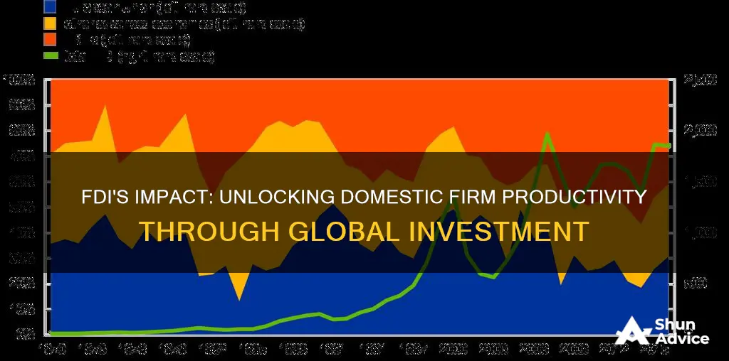 does foreign direct investment increase the productivity of domestic firms