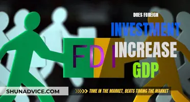 Foreign Investment's Impact: Unlocking GDP Growth Potential