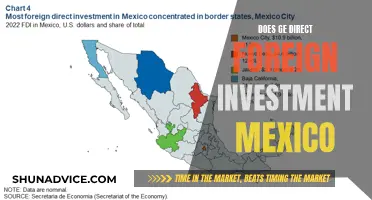 Mexico's Foreign Investment Magnet: The Role of GE