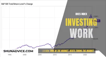 Index Investing: A Profitable Strategy or a Gamble?