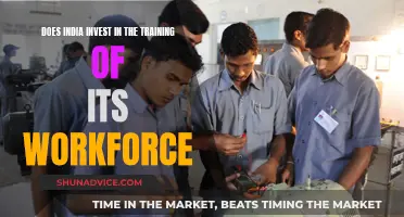 India's Workforce Training: Investing in the Future?