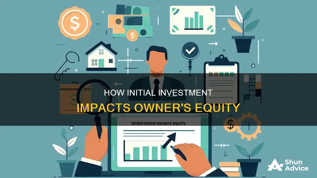 does initial investment increase owner