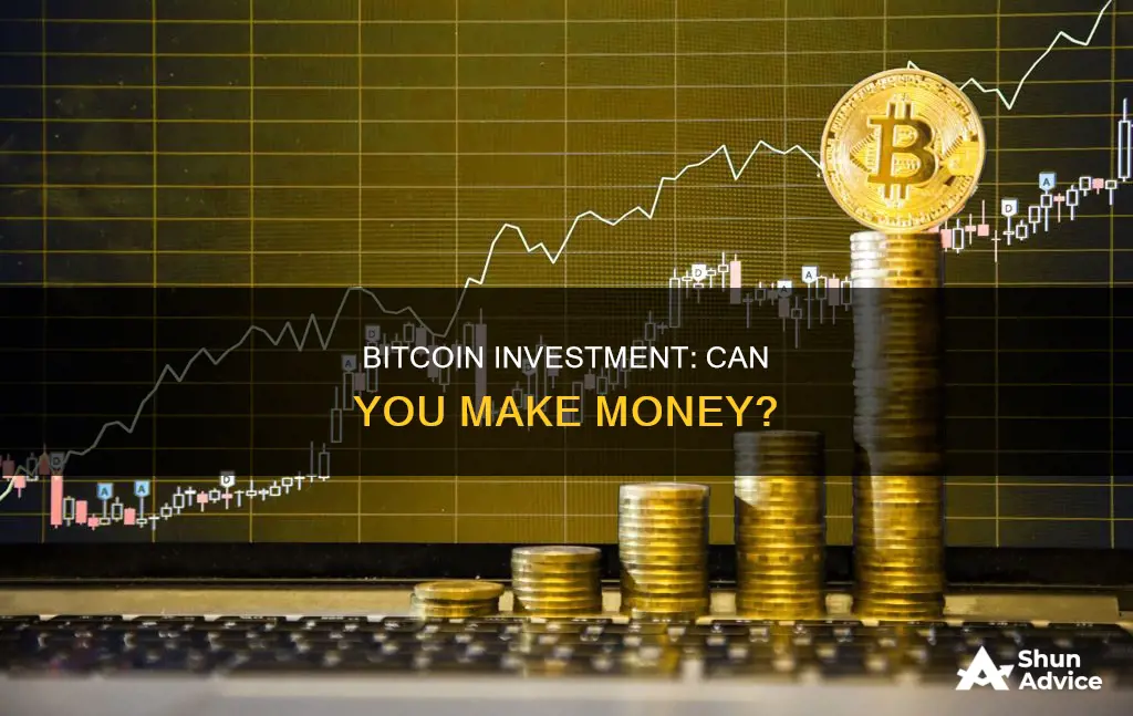 does investing in bitcoin make you money