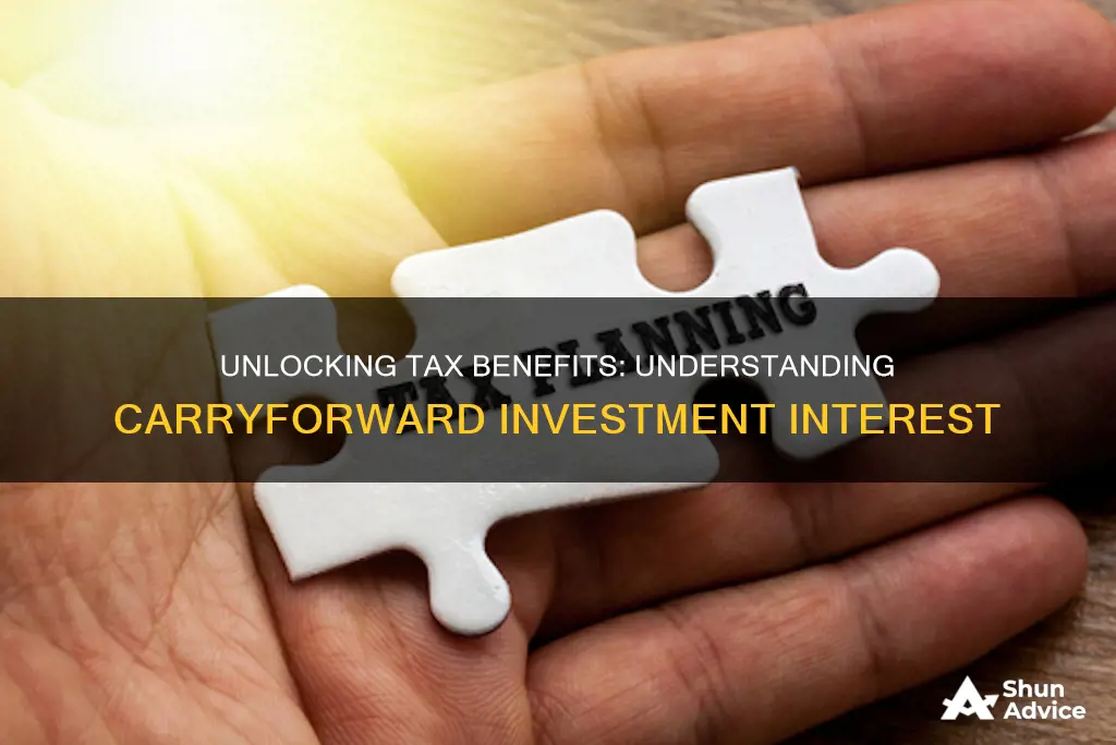 does investment interest carryforward to future years